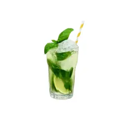 Mint Mojito